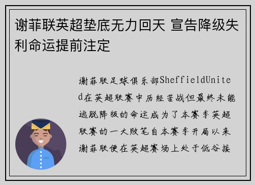 谢菲联英超垫底无力回天 宣告降级失利命运提前注定